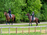 CH290522-6 - Charlie Hills Stable Visit